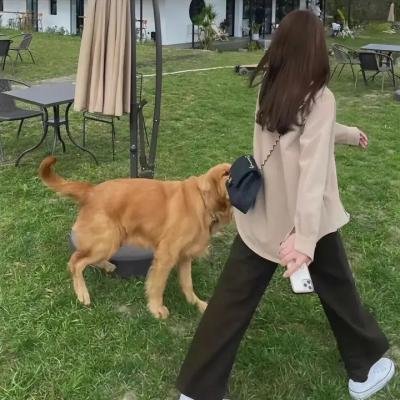 穷友记第六季